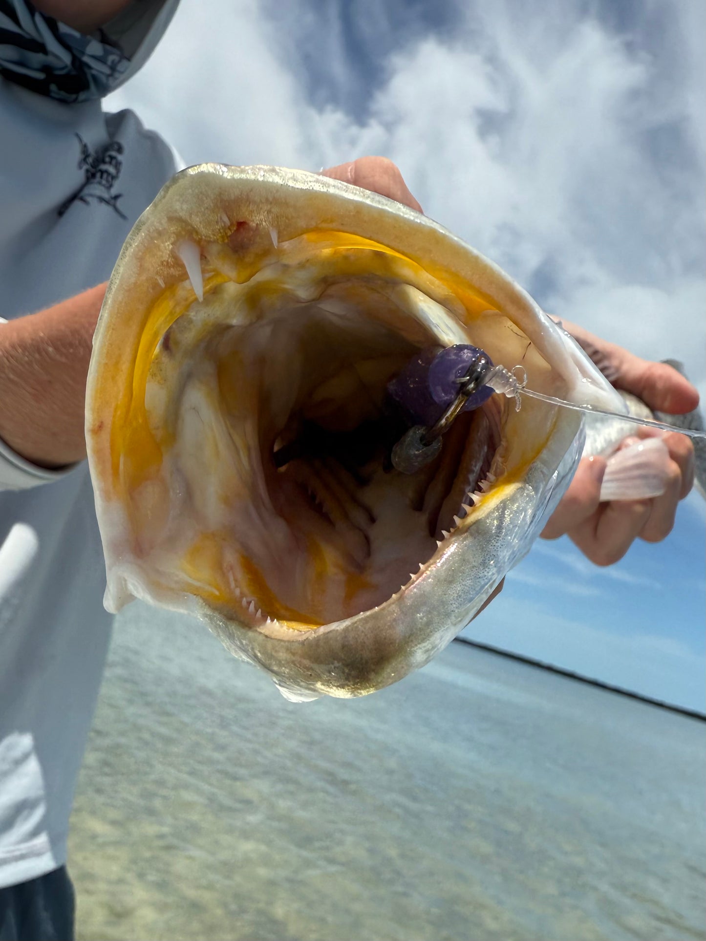 Plum 2.0 (5 Inch Twitcher)